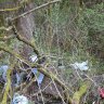 Zbieranie odpadu od potoka po cestu v časti Bukovina